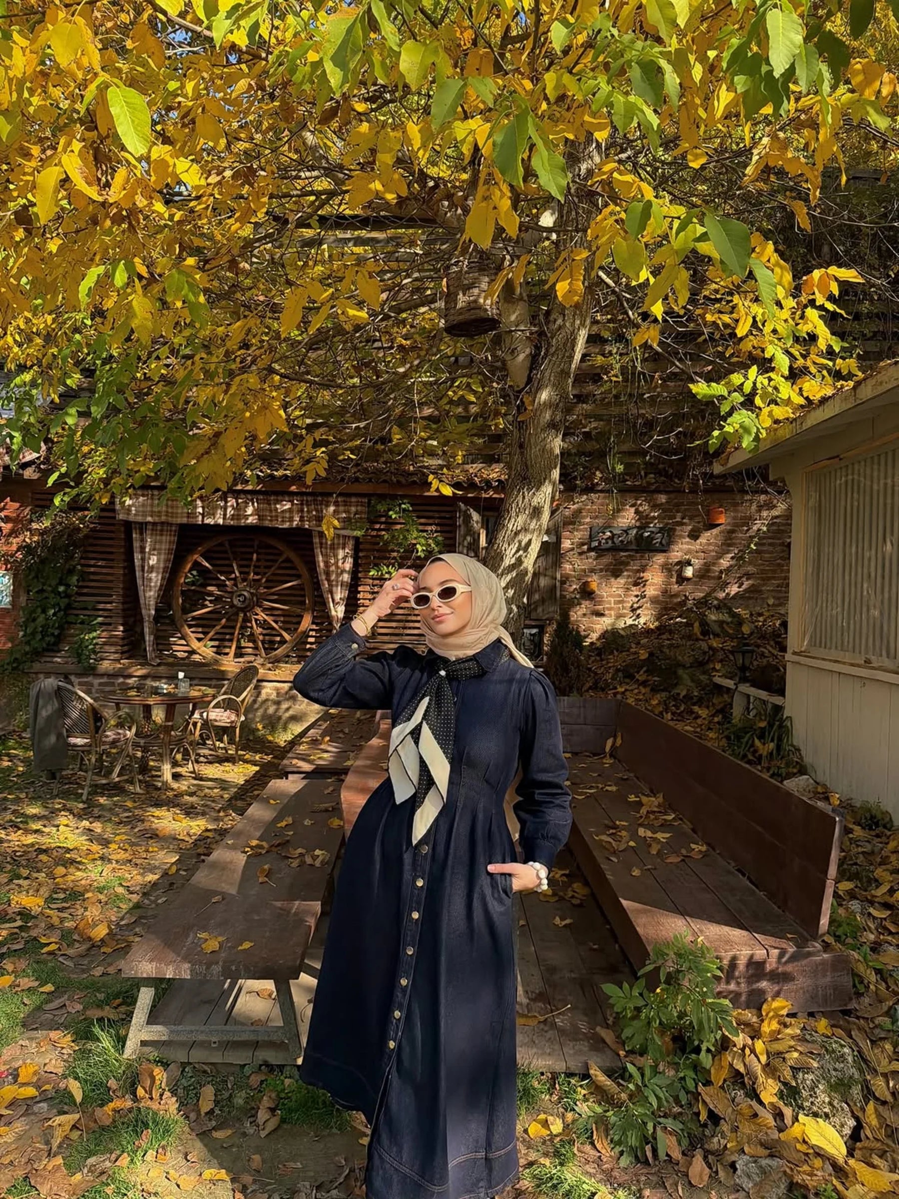 Mira Buttoned Denim Dress